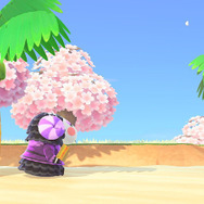 画像提供：やちか