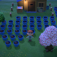 画像提供：やちか