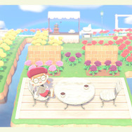 画像提供：みけ氏