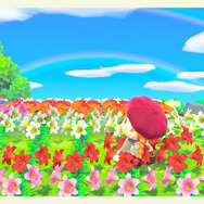 画像提供：みけ氏