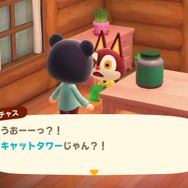 『あつまれ どうぶつの森』の謎に迫る─二足歩行するイヌと、ふつうの犬が存在しているらしいのはなぜ？