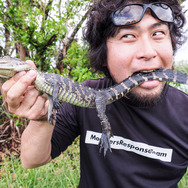 『あつまれ どうぶつの森』のヤベーやつ！タランチュラってどういう生き物？【平坂寛の『あつ森』博物誌】