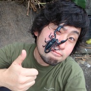 『あつまれ どうぶつの森』のヤベーやつ！タランチュラってどういう生き物？【平坂寛の『あつ森』博物誌】