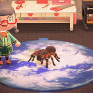 『あつまれ どうぶつの森』のヤベーやつ！タランチュラってどういう生き物？【平坂寛の『あつ森』博物誌】