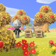 『あつまれ どうぶつの森』「北半球」と「南半球」おすすめはどっち？ポイントは遊びやすさと季節感をどれだけ重要視するか