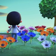 『あつまれ どうぶつの森』BGMは24時間いつも違うって知ってる？ おすすめの曲が流れる時間帯を紹介