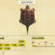 『あつまれ どうぶつの森』意外とおいしい！？「カミツキガメ」ってどんな生き物？【平坂寛の『あつ森』博物誌】