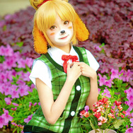 『あつまれ どうぶつの森』しずえ