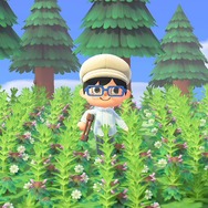 『あつまれ どうぶつの森』の「雑草」って意外と使えるんじゃない？ 売る・DIYの材料以外の活用方法