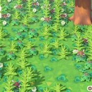 『あつまれ どうぶつの森』の「雑草」って意外と使えるんじゃない？ 売る・DIYの材料以外の活用方法