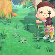 『あつまれ どうぶつの森』の「雑草」って意外と使えるんじゃない？ 売る・DIYの材料以外の活用方法