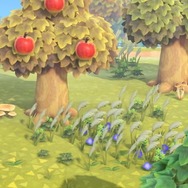 『あつまれ どうぶつの森』の「雑草」って意外と使えるんじゃない？ 売る・DIYの材料以外の活用方法