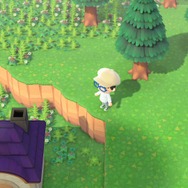 『あつまれ どうぶつの森』の「雑草」って意外と使えるんじゃない？ 売る・DIYの材料以外の活用方法