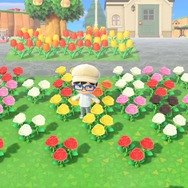 『あつまれ どうぶつの森』の「雑草」って意外と使えるんじゃない？ 売る・DIYの材料以外の活用方法