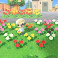 『あつまれ どうぶつの森』の「雑草」って意外と使えるんじゃない？ 売る・DIYの材料以外の活用方法