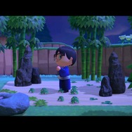 『あつまれ どうぶつの森』の「雑草」って意外と使えるんじゃない？ 売る・DIYの材料以外の活用方法