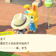 『あつまれ どうぶつの森』あのお願いに「ヤダ!」と答えたらどうなる?島民の質問に“否定的な回答”をぶつけてみた