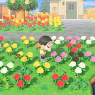 もっと『あつまれ どうぶつの森』を楽しむために無視していい10の要素！ やりたくないルーチンはしなくてOK