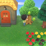 もっと『あつまれ どうぶつの森』を楽しむために無視していい10の要素！ やりたくないルーチンはしなくてOK