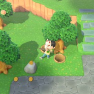 もっと『あつまれ どうぶつの森』を楽しむために無視していい10の要素！ やりたくないルーチンはしなくてOK