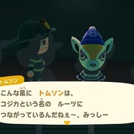 『あつまれ どうぶつの森』これは気付いてた？博物館の魅力が垣間見える魅力を再チェック─アンチョビは時々襲われるし、ムカデが脱走することも