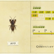 『あつまれ どうぶつの森』あなたは「オケラ」や「リュウグウノツカイ」を捕まえた？ 6月にはいなくなる生物4種の出現場所・入手方法を紹介