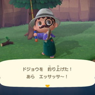 『あつまれ どうぶつの森』あなたは「オケラ」や「リュウグウノツカイ」を捕まえた？ 6月にはいなくなる生物4種の出現場所・入手方法を紹介