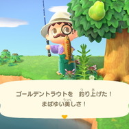 『あつまれ どうぶつの森』あなたは「オケラ」や「リュウグウノツカイ」を捕まえた？ 6月にはいなくなる生物4種の出現場所・入手方法を紹介