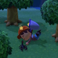 『あつまれ どうぶつの森』夏の夜の危険なアイツ！サソリってどんな生き物？【平坂寛の『あつ森』博物誌】