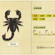 『あつまれ どうぶつの森』夏の夜の危険なアイツ！サソリってどんな生き物？【平坂寛の『あつ森』博物誌】