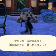 『あつまれ どうぶつの森』夏の夜の危険なアイツ！サソリってどんな生き物？【平坂寛の『あつ森』博物誌】