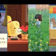 6月でついに『あつまれ どうぶつの森』もサマーシーズン到来! 北半球の島で変化した9つの要素