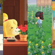 6月でついに『あつまれ どうぶつの森』もサマーシーズン到来! 北半球の島で変化した9つの要素