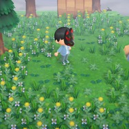 6月でついに『あつまれ どうぶつの森』もサマーシーズン到来! 北半球の島で変化した9つの要素