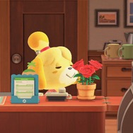 6月でついに『あつまれ どうぶつの森』もサマーシーズン到来! 北半球の島で変化した9つの要素