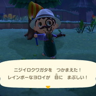 『あつまれ どうぶつの森』6月からは虫取り＆魚釣りが熱い！ 新登場した高額生物たちの出現場所・時間帯を紹介