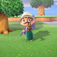 『あつまれ どうぶつの森』6月からは虫取り＆魚釣りが熱い！ 新登場した高額生物たちの出現場所・時間帯を紹介