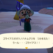 『あつまれ どうぶつの森』6月からは虫取り＆魚釣りが熱い！ 新登場した高額生物たちの出現場所・時間帯を紹介