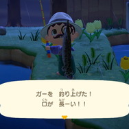 『あつまれ どうぶつの森』6月からは虫取り＆魚釣りが熱い！ 新登場した高額生物たちの出現場所・時間帯を紹介