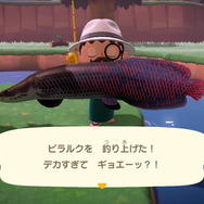『あつまれ どうぶつの森』6月からは虫取り＆魚釣りが熱い！ 新登場した高額生物たちの出現場所・時間帯を紹介