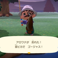 『あつまれ どうぶつの森』6月からは虫取り＆魚釣りが熱い！ 新登場した高額生物たちの出現場所・時間帯を紹介