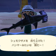 『あつまれ どうぶつの森』6月からは虫取り＆魚釣りが熱い！ 新登場した高額生物たちの出現場所・時間帯を紹介