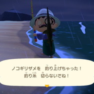 『あつまれ どうぶつの森』6月からは虫取り＆魚釣りが熱い！ 新登場した高額生物たちの出現場所・時間帯を紹介