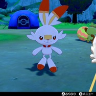 『ポケモン HOME』でゲットできる隠れ特性のサルノリ・ヒバニーがヤバい！ バトルで大活躍しそうな理由を解説