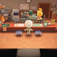 『あつ森』24時間営業の案内所に密着―たぬきちとしずえはいつ寝ているのか？【特集】