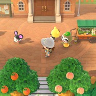 『あつ森』24時間営業の案内所に密着―たぬきちとしずえはいつ寝ているのか？【特集】