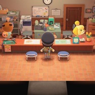 『あつ森』24時間営業の案内所に密着―たぬきちとしずえはいつ寝ているのか？【特集】