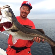 もういらない、なんて言わないで！『あつまれ どうぶつの森』で釣れまくる魚「スズキ」のイイところ【平坂寛の『あつ森』博物誌】