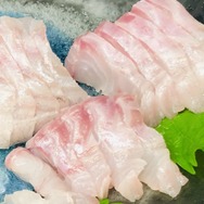 もういらない、なんて言わないで！『あつまれ どうぶつの森』で釣れまくる魚「スズキ」のイイところ【平坂寛の『あつ森』博物誌】