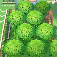 『あつまれ どうぶつの森』いざ幻の五輪島へ！ スポーツの祭典を先取りした男「わいわい」にG*S編集部で挑戦